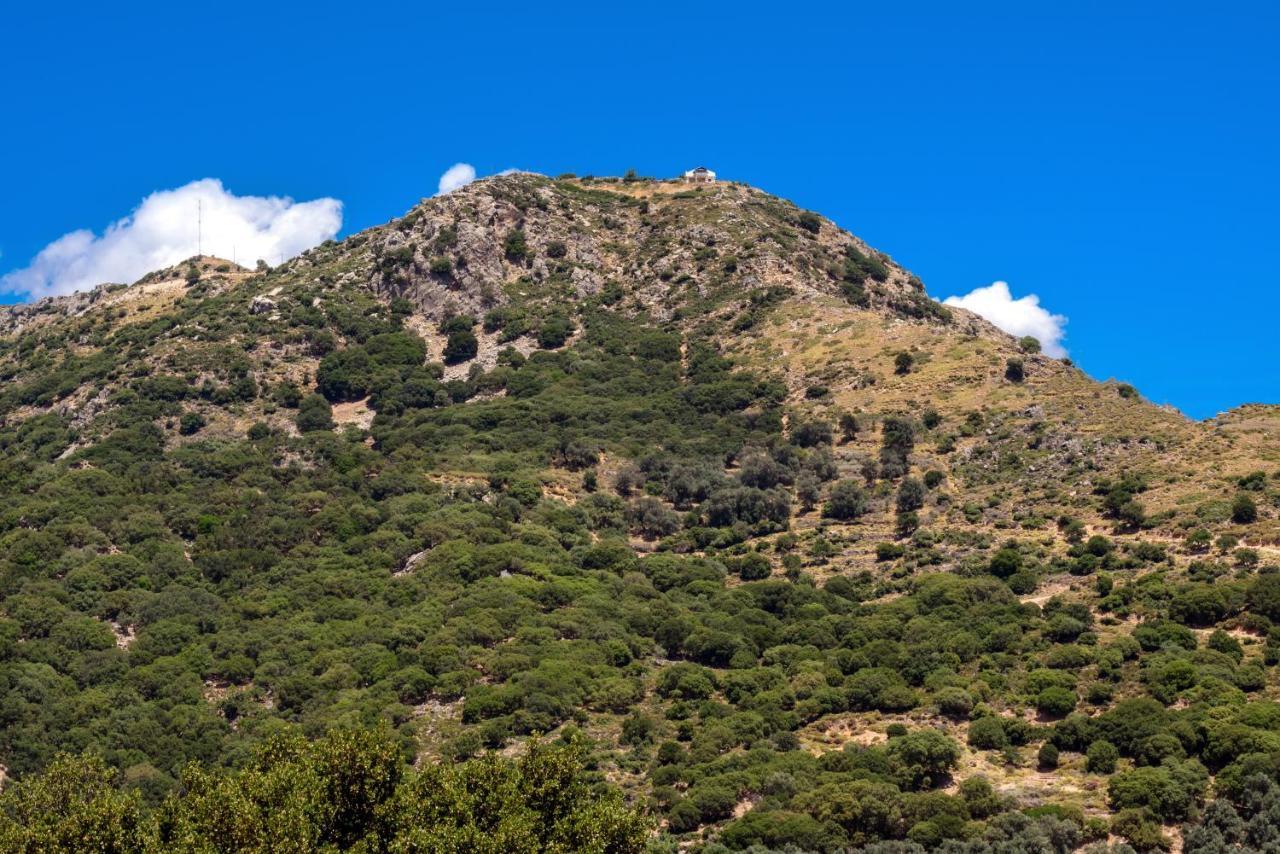View Mountain Villa