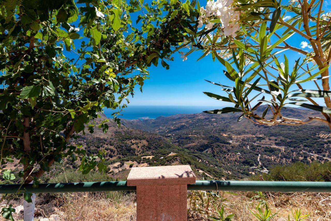 View Mountain *