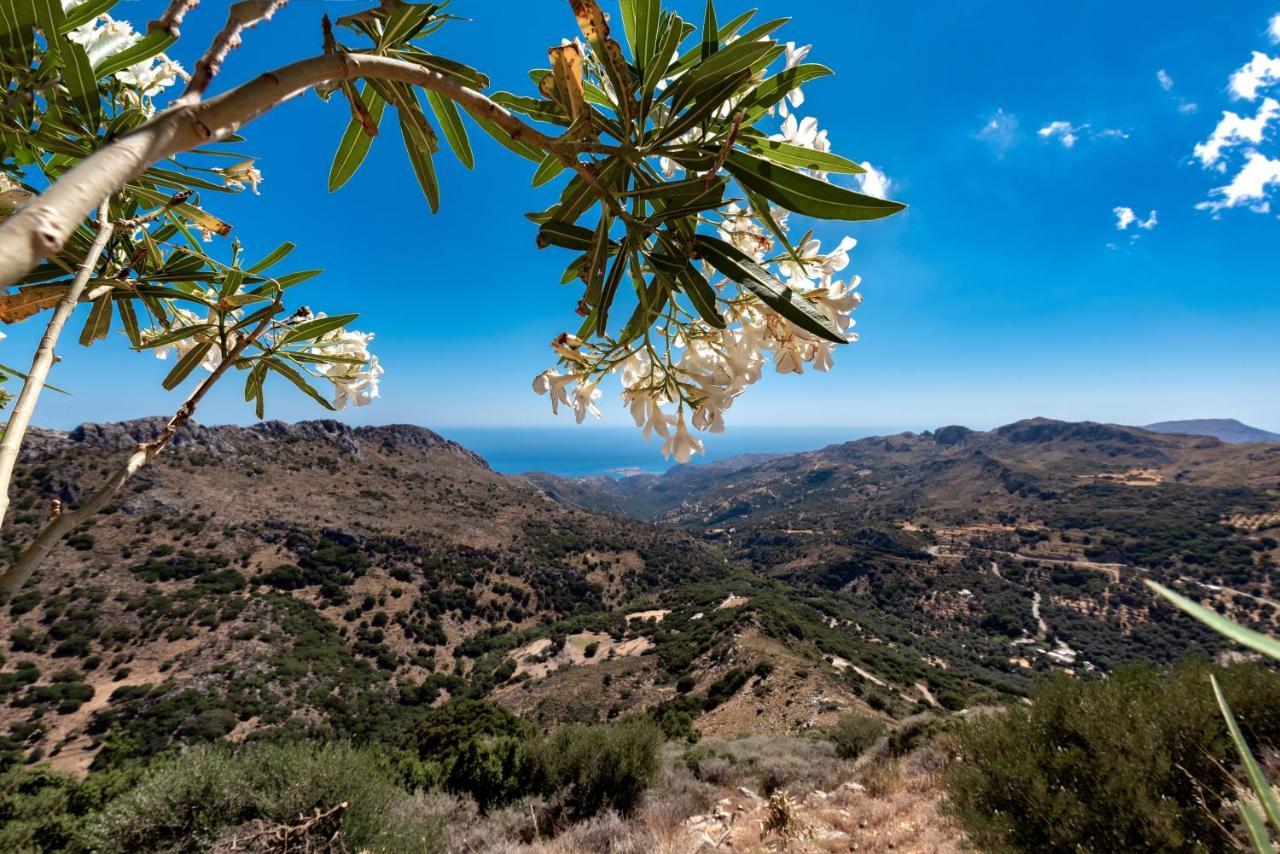 Βίλα View Mountain Τεμένια