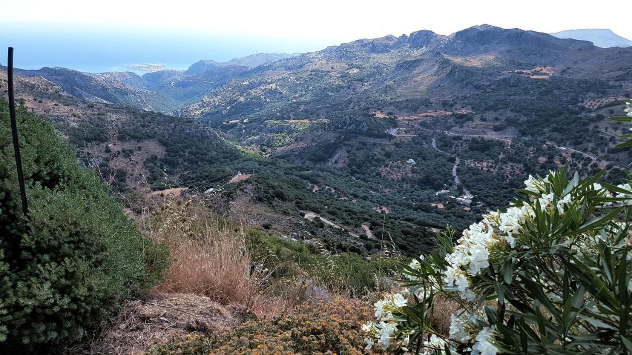 View Mountain *