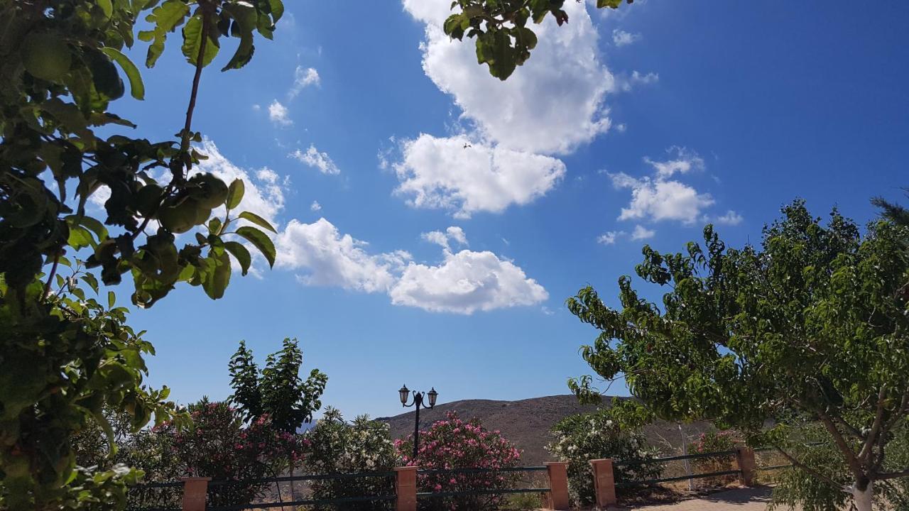 View Mountain Τεμένια